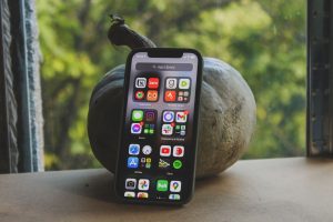 A smartphone displaying various app icons stands beside a pumpkin by a window with a green outdoor view. — How To Remove Bing